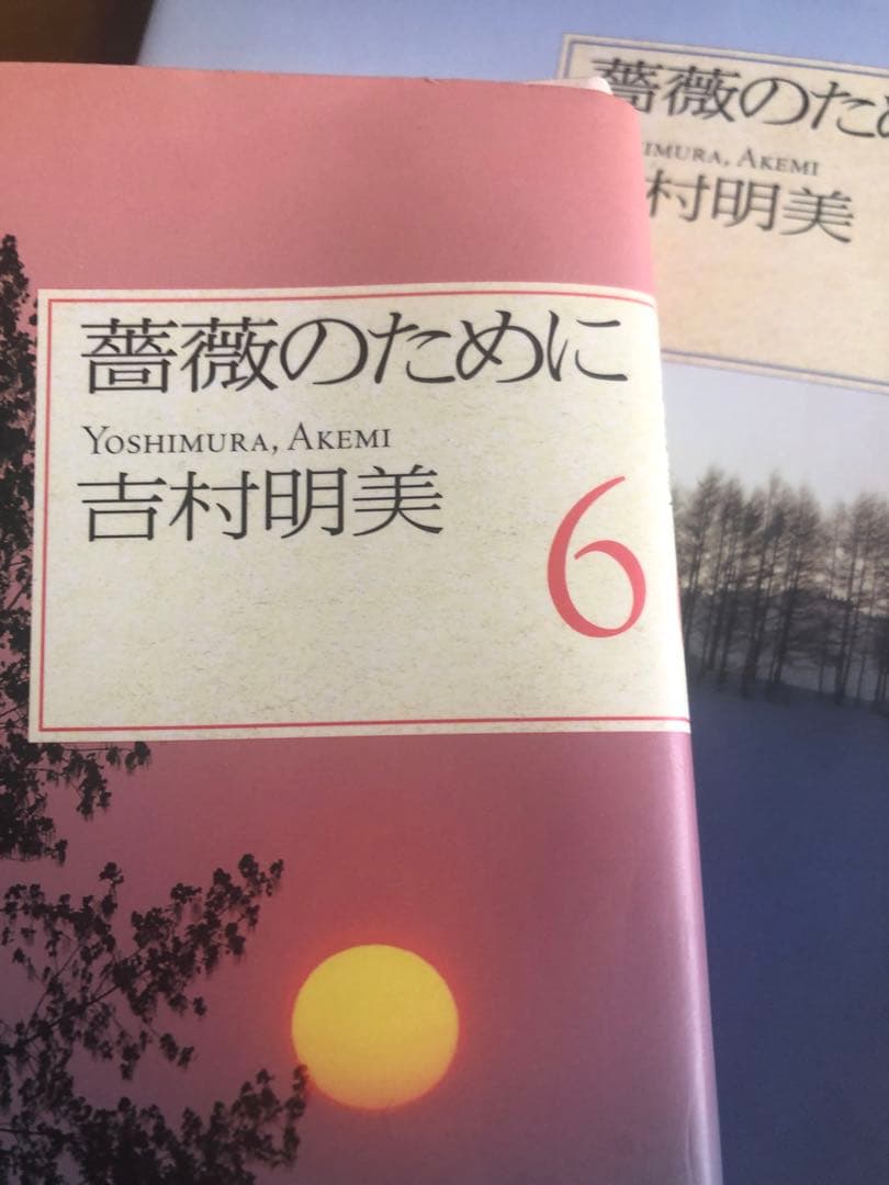 薔薇のために 文庫版1〜9全巻セット - メルカリ