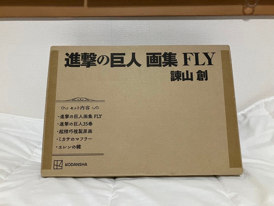 未開封】進撃の巨人 画集 FLY（35巻あり） - メルカリ