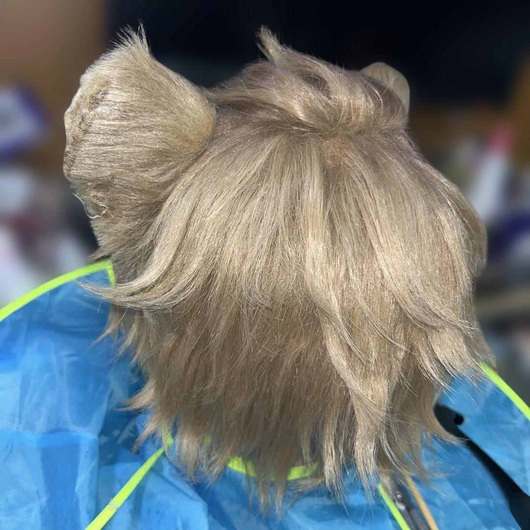 ラギー ウィッグ ツイステ コスプレ 耳 尻尾 - メルカリ