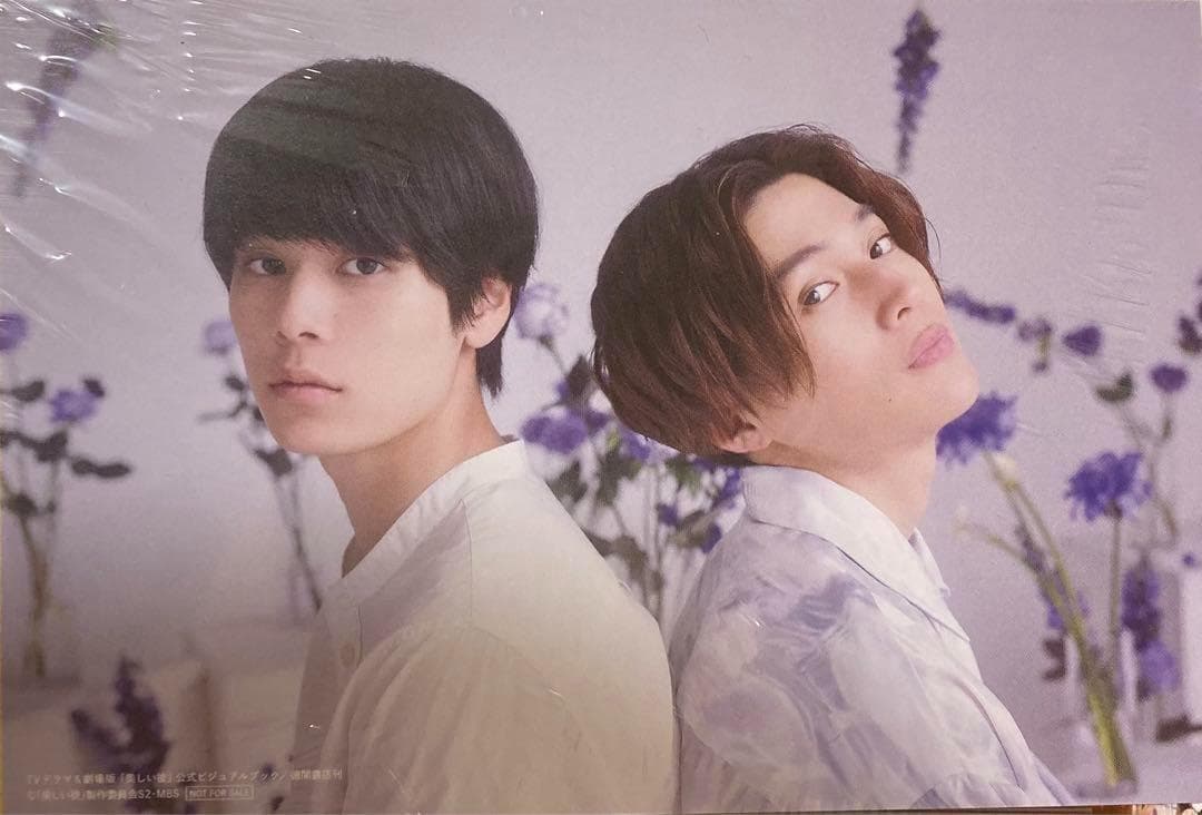 値下げ！美しい彼3点　 公式ビジュアルブック　第1弾＆第2弾　限定フォトカード付