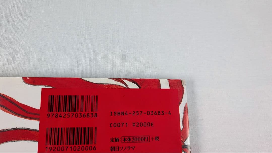 絶版・希少本】天野喜孝 画集 AMANO FIRST 帯付き - メルカリ