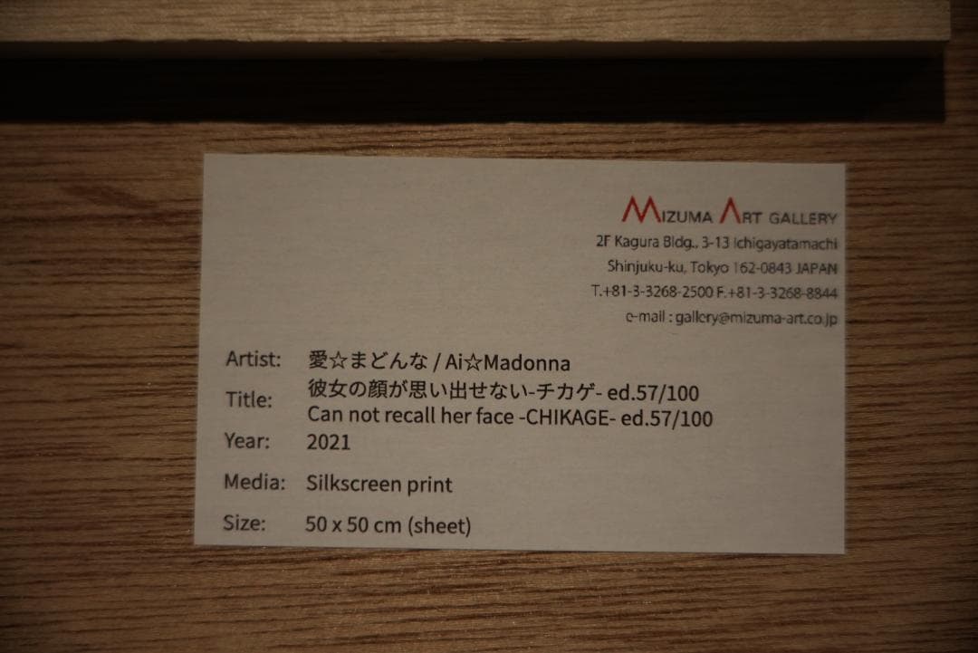 【直筆サイン限定57/100】愛☆まどんな『彼女の顔が思い出せない -たぁこ-』