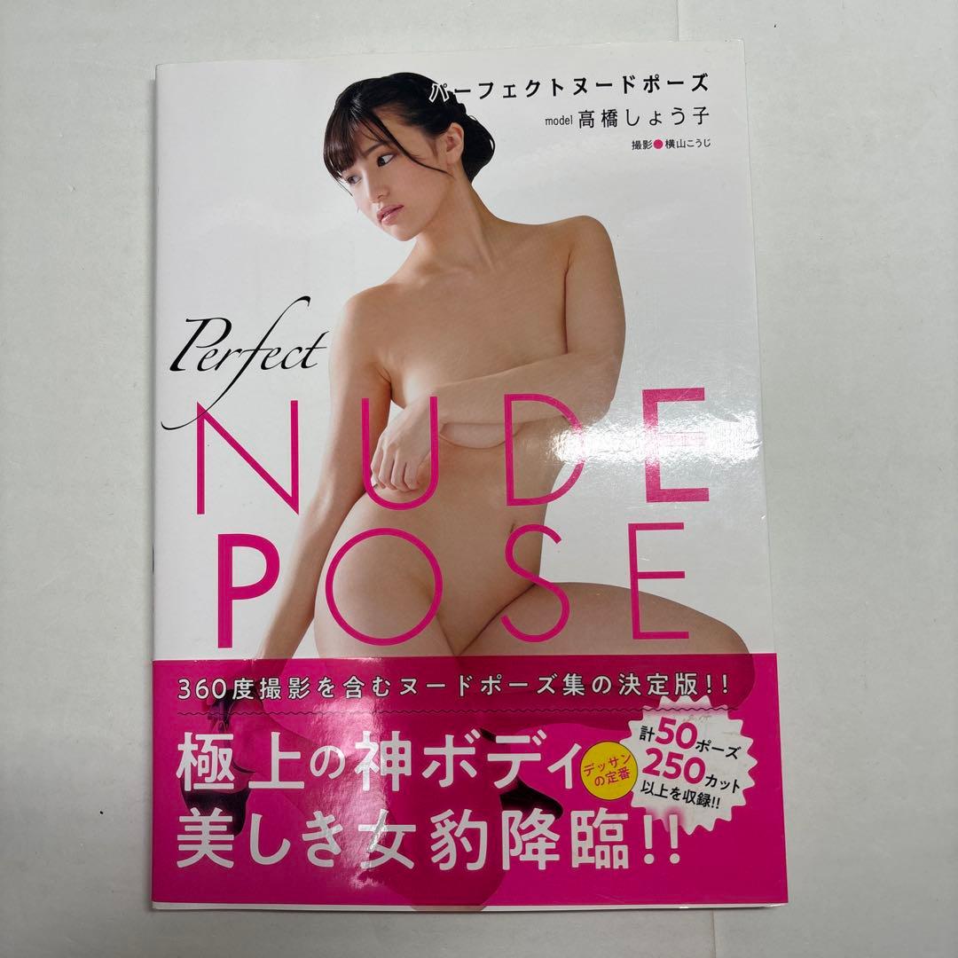 デッサン　パーフェクトポーズ 高橋しょう子