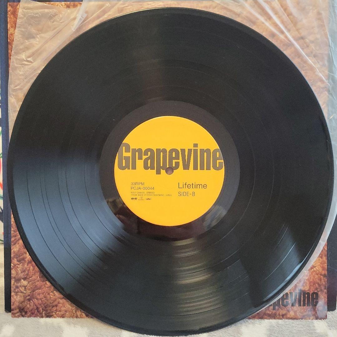 GRAPEVINE グレイプバイン LIFETIME アナログ レコード - メルカリ