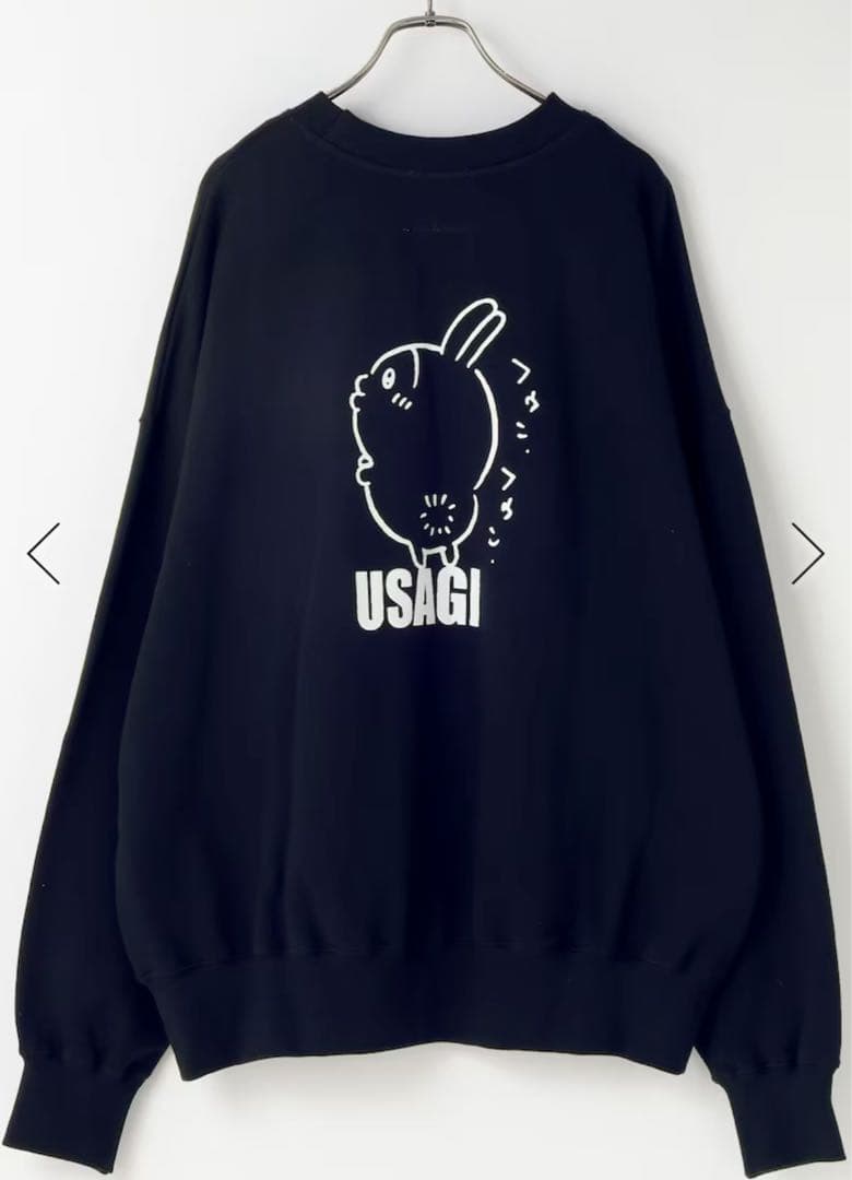 あきぽぃ スウェット ちいかわ うさぎ ちいかわ うさぎ ハチワレ パーカー 秋冬 長袖 トレーナー 綿 男の子