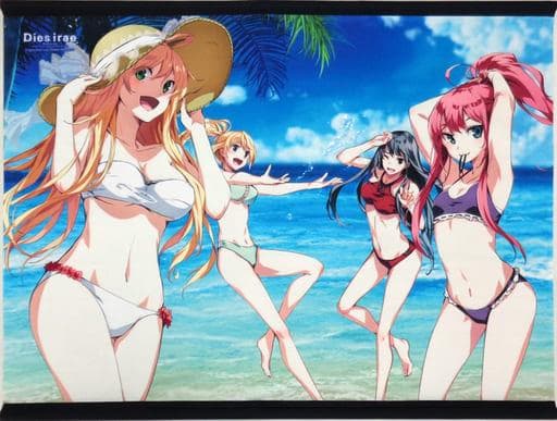 タペストリー 集合(女性/水着) B2タペストリー 「Dies irae」 - メルカリ
