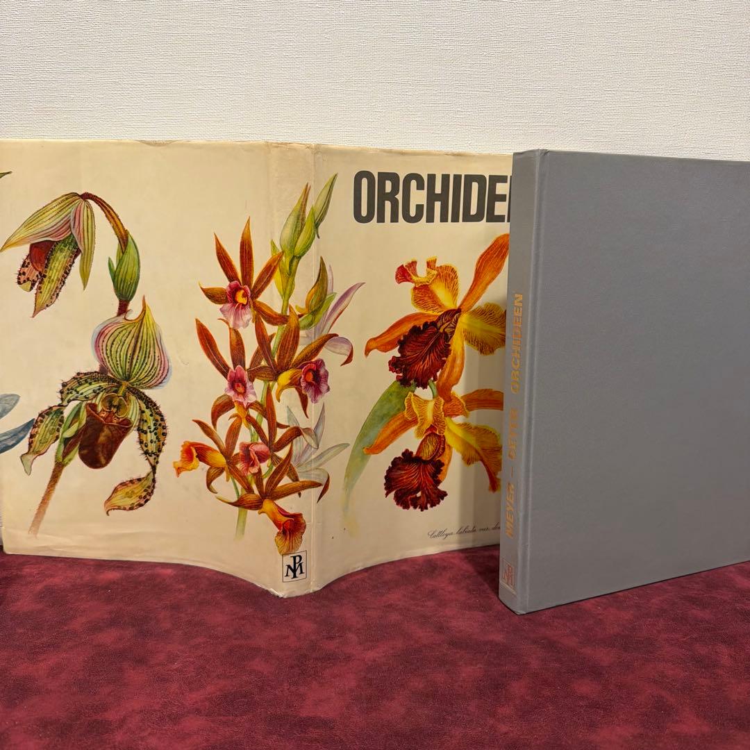 223B①1974年ドイツ語ラン図鑑 洋書古書 ジャンクジャーナル ボタン