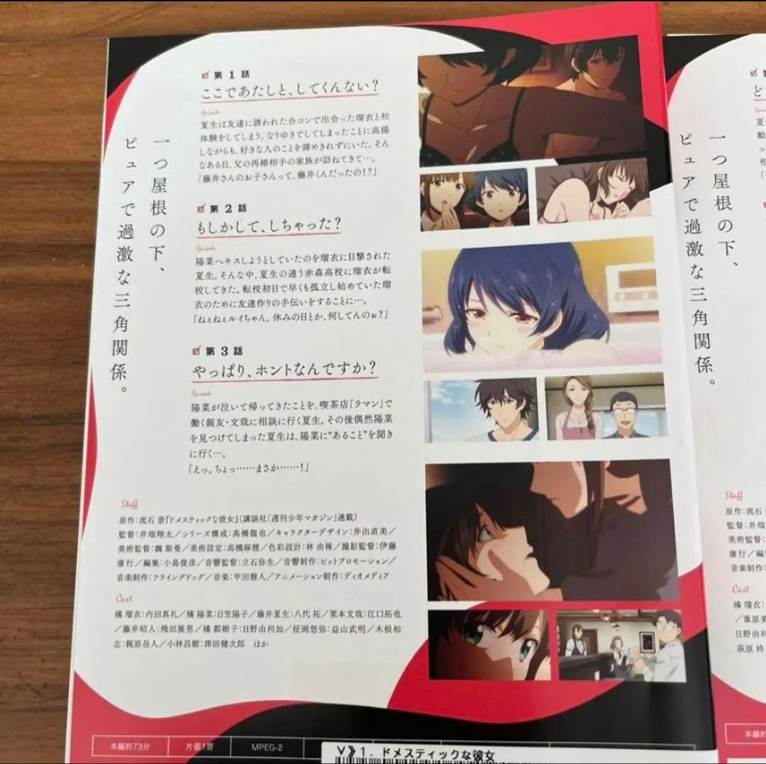 ドメスティックな彼女　DVD 全4巻　全巻セット