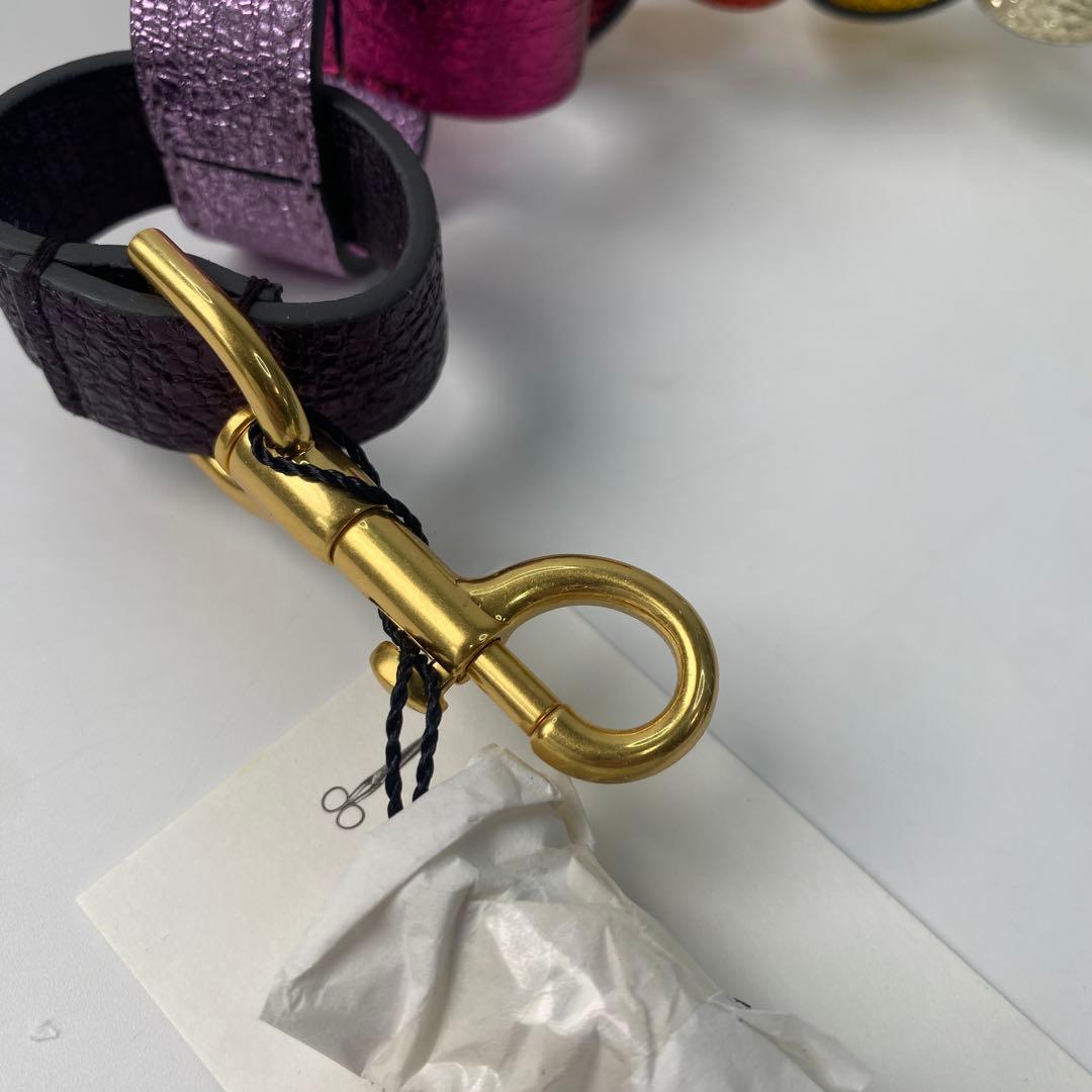 未使用 アニヤハインドマーチ ショルダー ストラップ マルチカラー