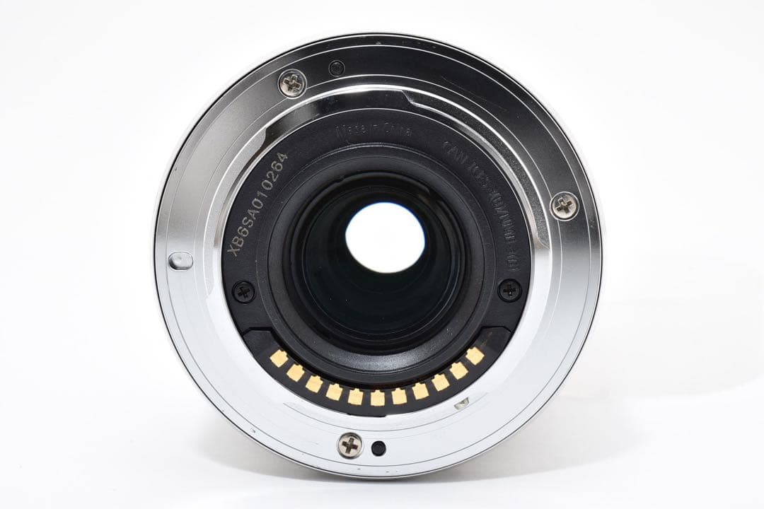 レンズ(ズーム) LUMIX G VARIO 35-100mm f/4.0-5.6 ASPH