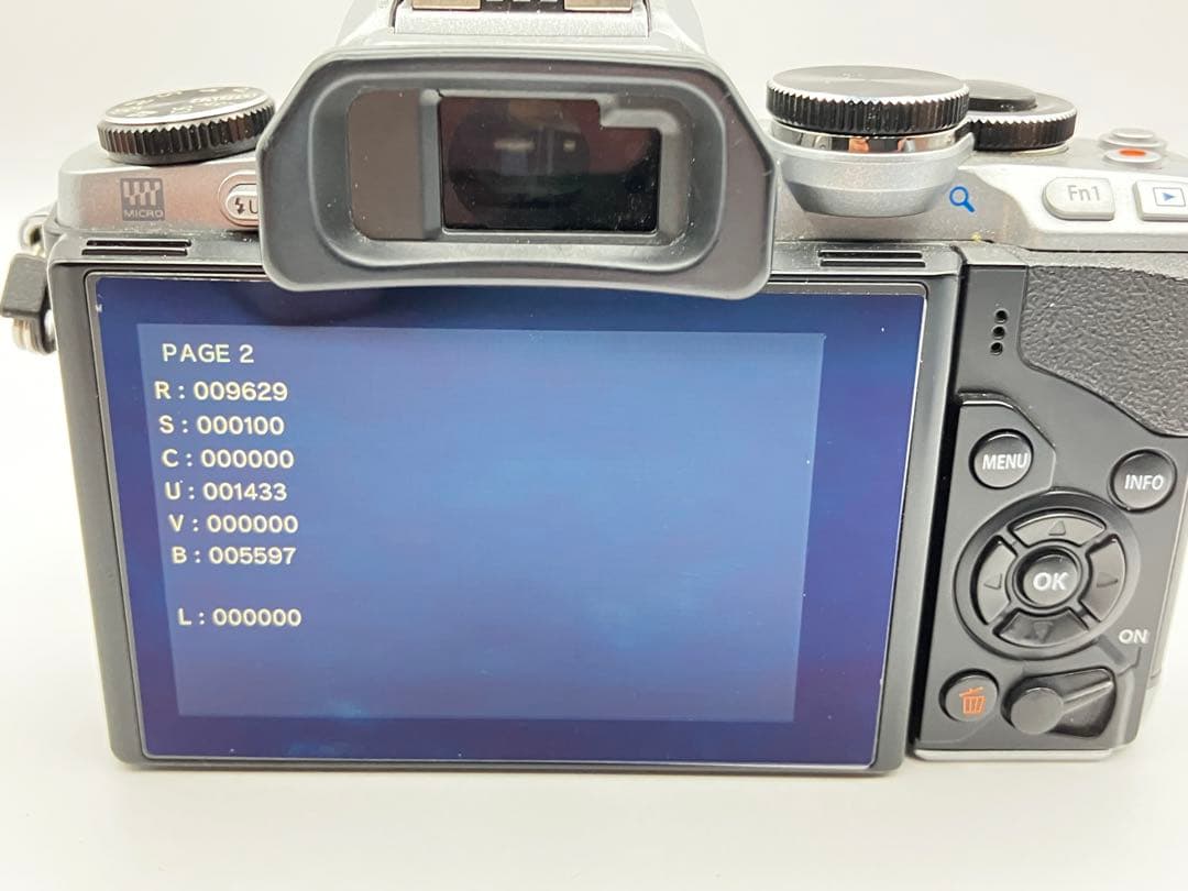 OLYMPUS OM-D E-M10 ミラーレス一眼カメラ シャッター9629回 - メルカリ