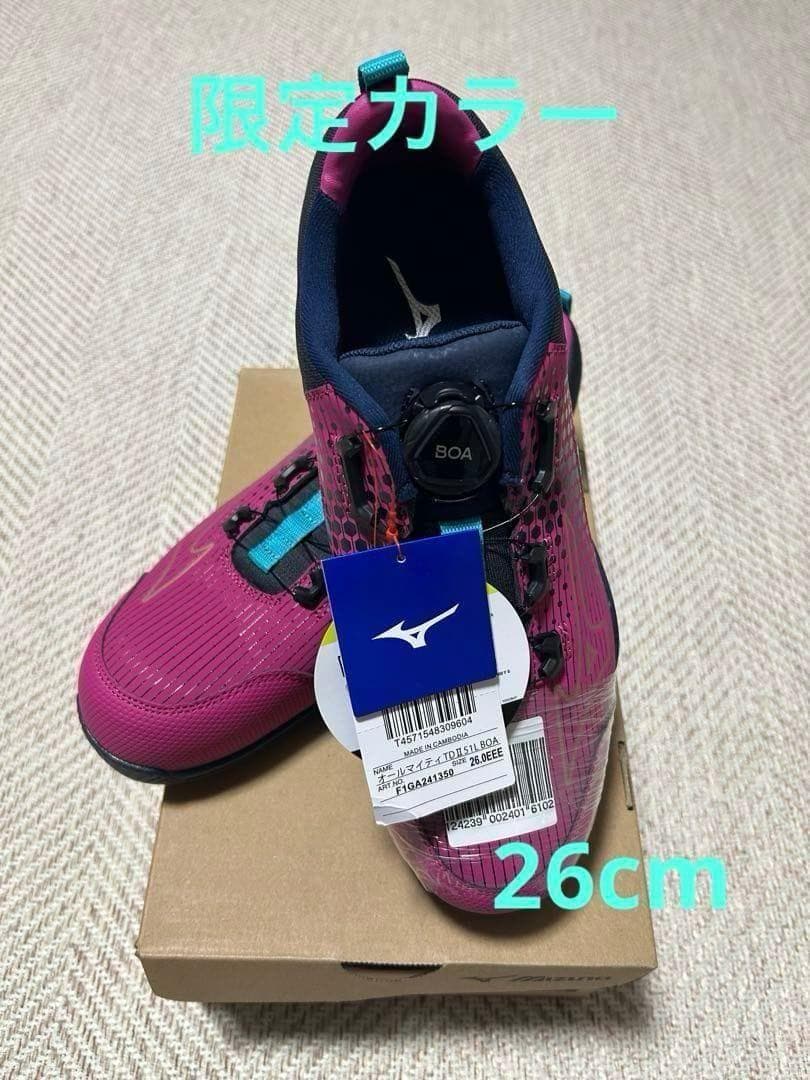 新品　26.0cm 限定カラー　Mizuno BOAシステム　安全靴