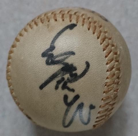 希少 王貞治 長嶋茂雄 直筆 サイン ボール 読売 ジャイアンツ 巨人軍