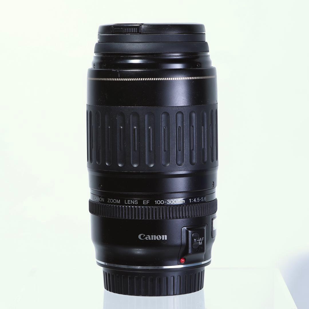 【完動品】Canon EF 100-300mm f/4.5-5.6 ズームレンズ