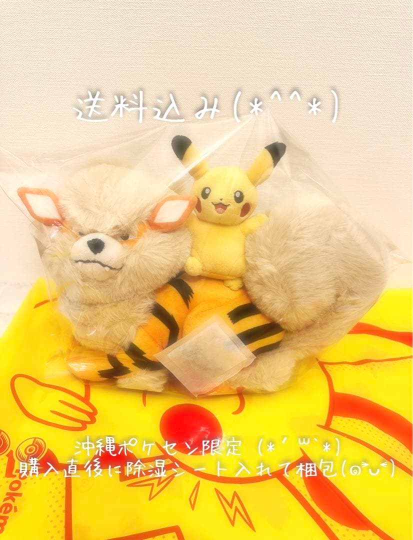 ウィンディ ピカチュウ 沖縄ポケモンセンター1周年記念品 店舗販売限定