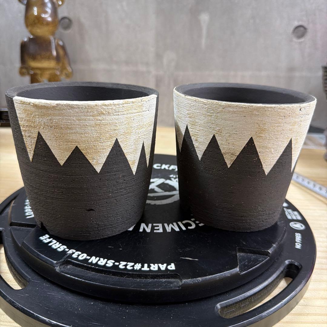 手作植木鉢 Mサイズ 2点検（ 塊根植物 グラキリス パキプス アガベ