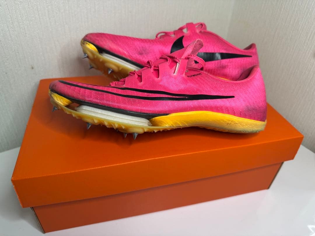 Nike マックスフライ1 25.0cm