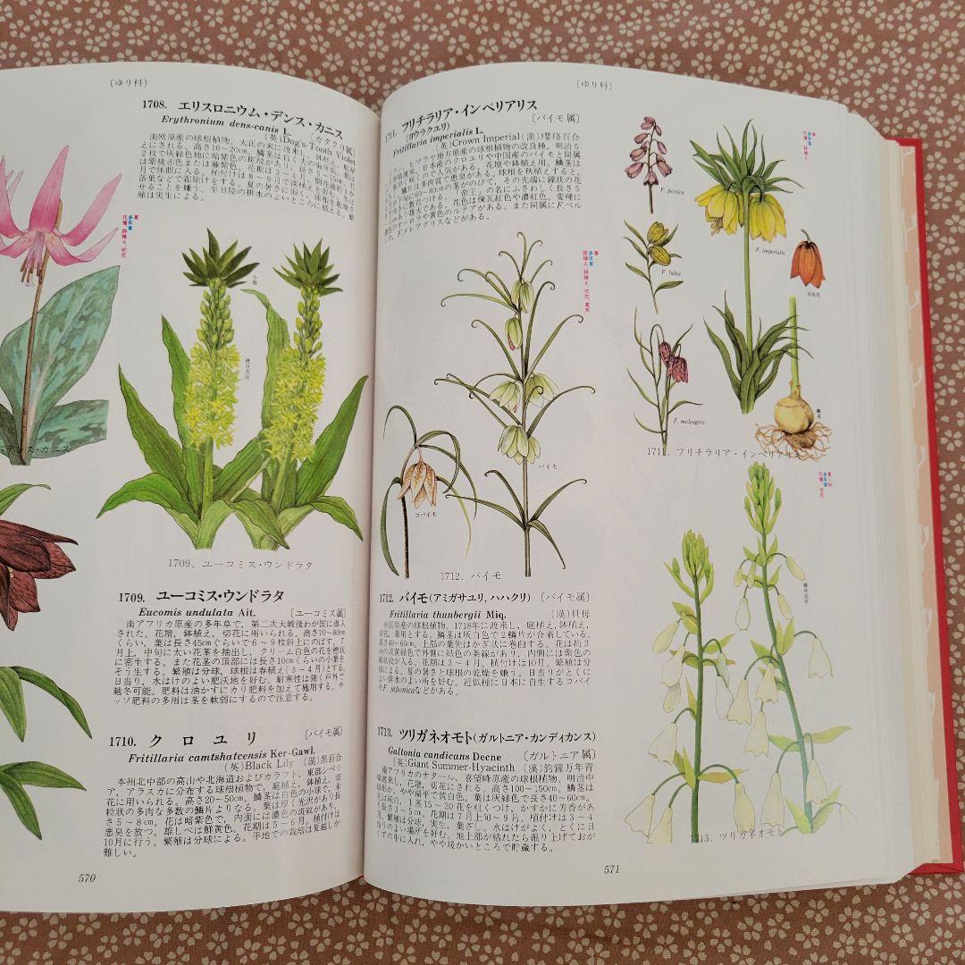 原色園芸植物大図鑑 - メルカリ