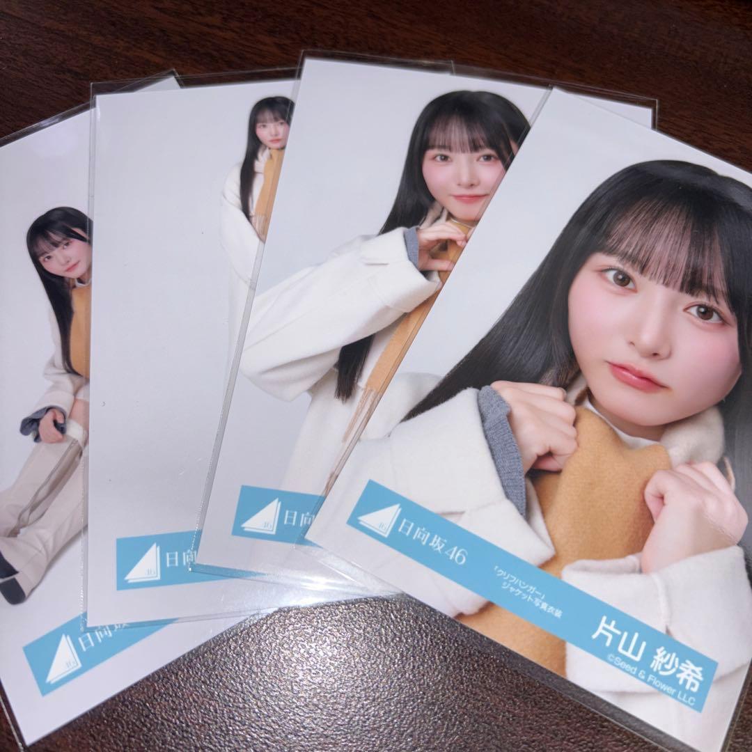 片山紗希 日向坂46 クリフハンガー ジャケット 生写真 4種コンプ