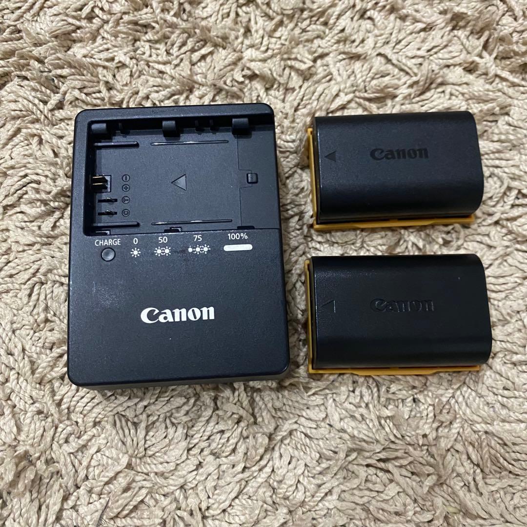 Canon EOS 70D キヤノン ボディ バッテリー 本体