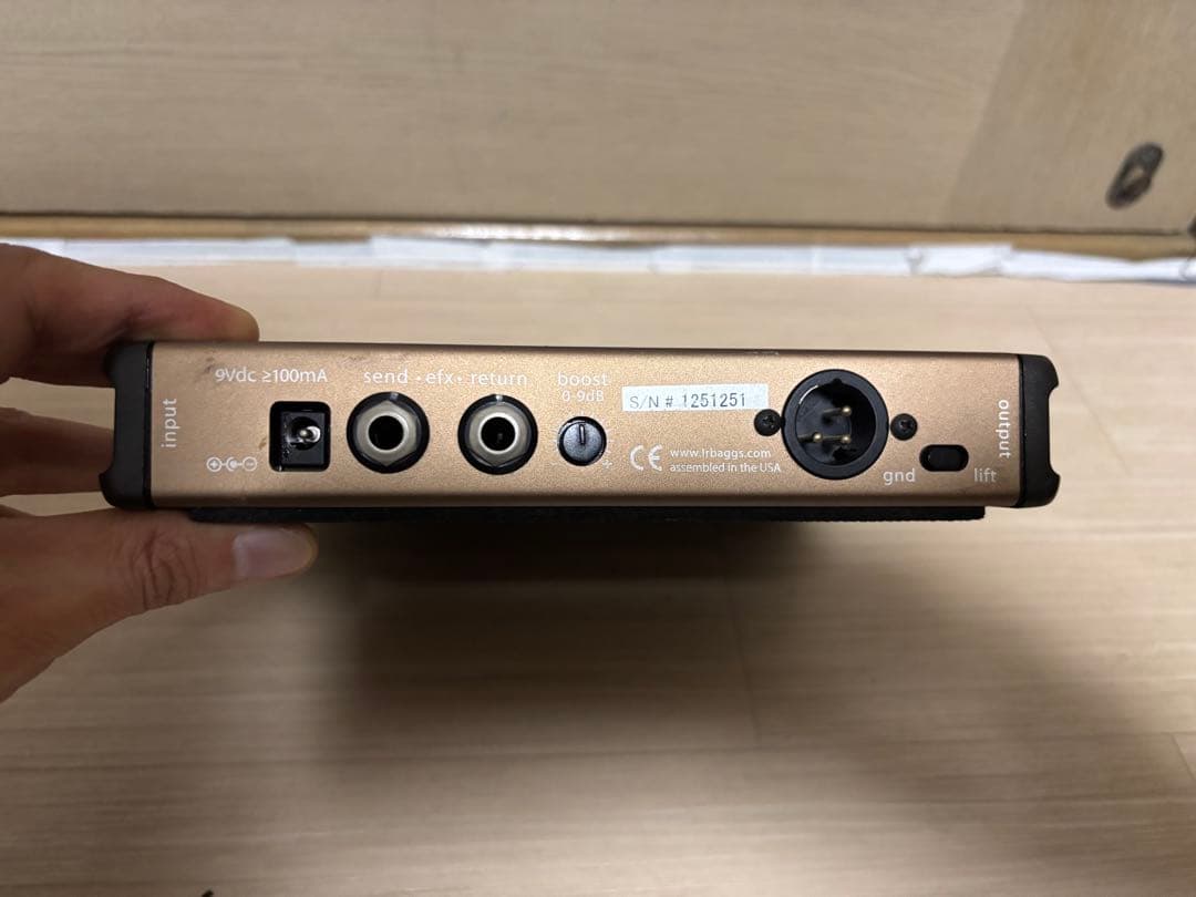 L.R.baggs venue di （ジャンク）