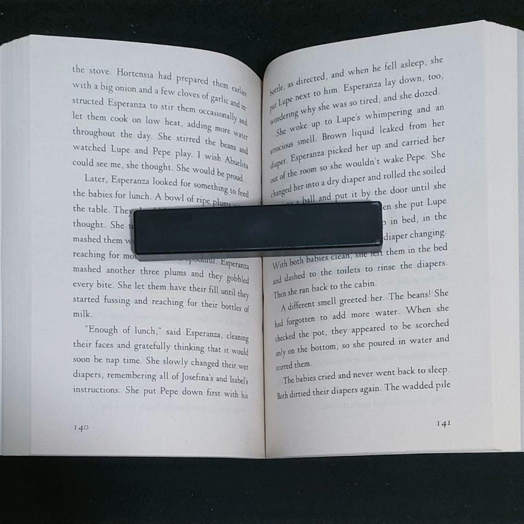 洋書 Esperanza Rising 英語多読 - メルカリ