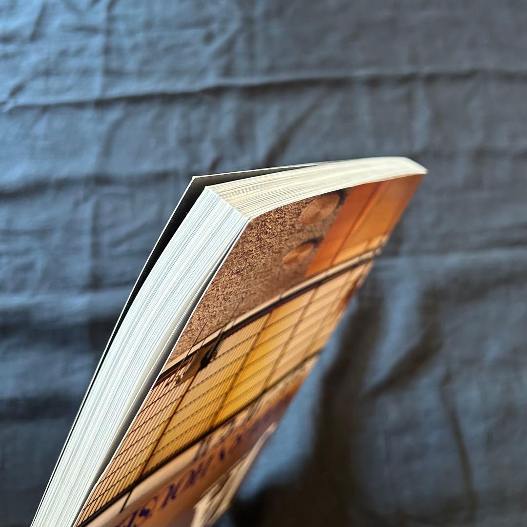 【絶版希少書籍】 JA 29 1998春号 特集：モダン住宅 Ⅱ