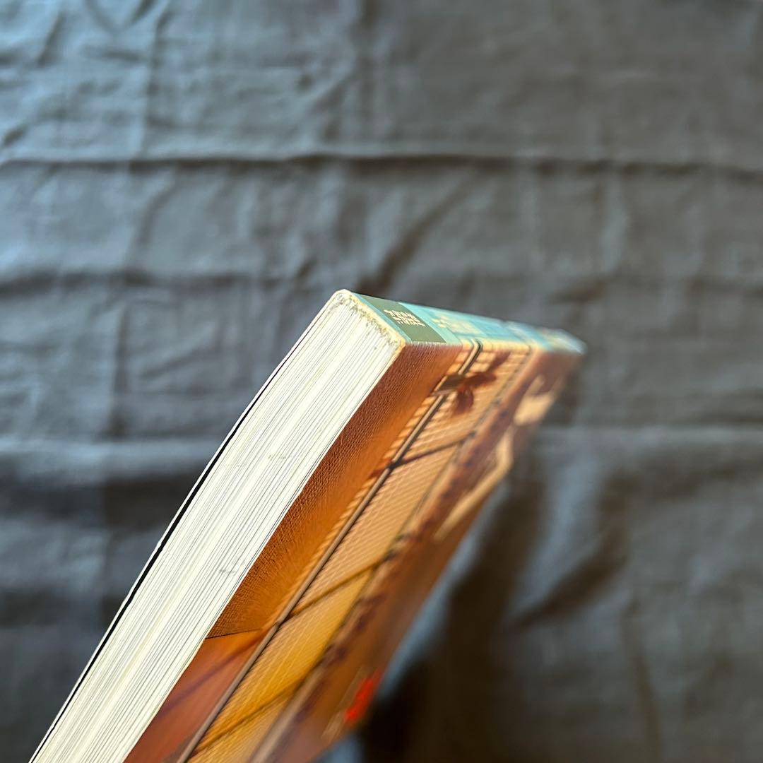 【絶版希少書籍】 JA 29 1998春号 特集：モダン住宅 Ⅱ