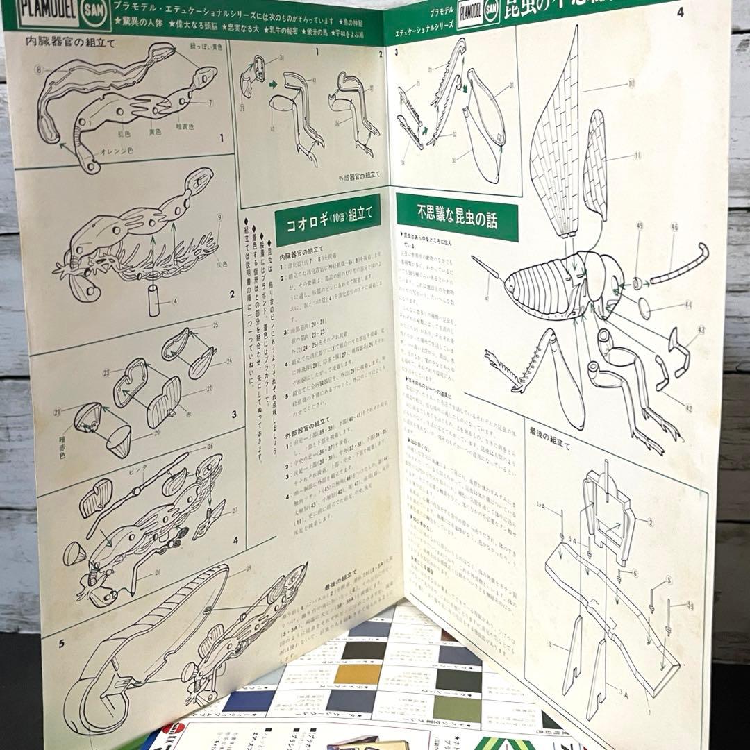 マルサンプラモデル エディショナルシリーズ 昆虫の不思議 絶版