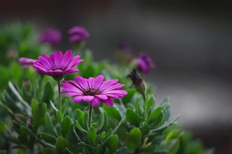 68　いとう7014　アダプターなしです。