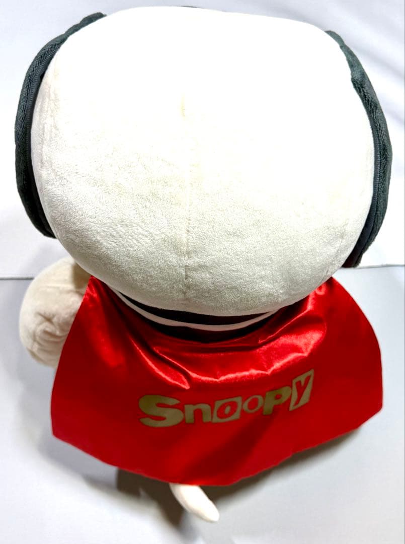 ミズノ 【PEANUTS】スヌーピー メディシンボール レッド 2kg