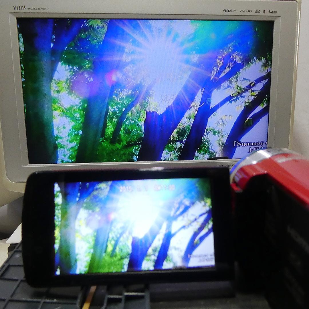 動作良好 JVC Everio GZ-E750-R HDD/SD ビデオカメラ - メルカリ