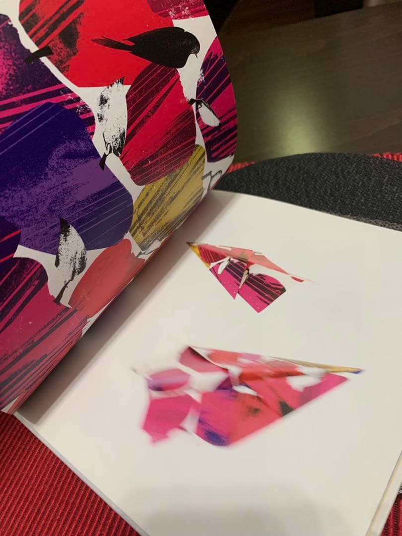 希少HENGE DASSEN morphosis, derailment