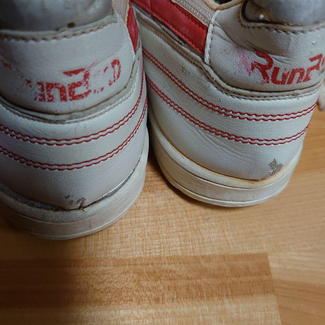 希少　レア物　バレーボール　RUNBIRD　MIZUNO　29.0cm　河合俊一