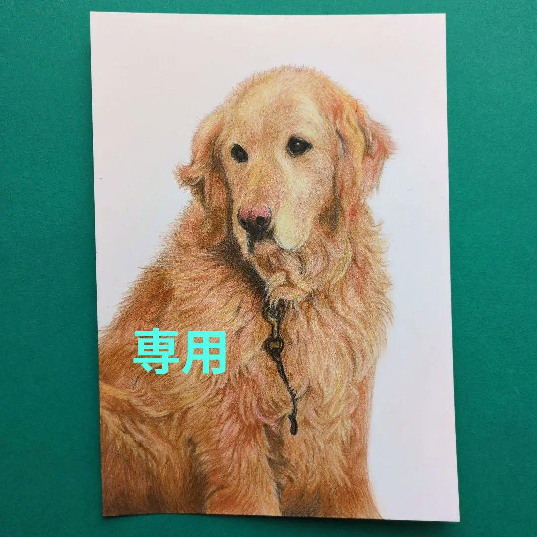 ウニ郎様専用です♪ 色鉛筆画 A5 犬・猫♡4枚 - イラスト最高