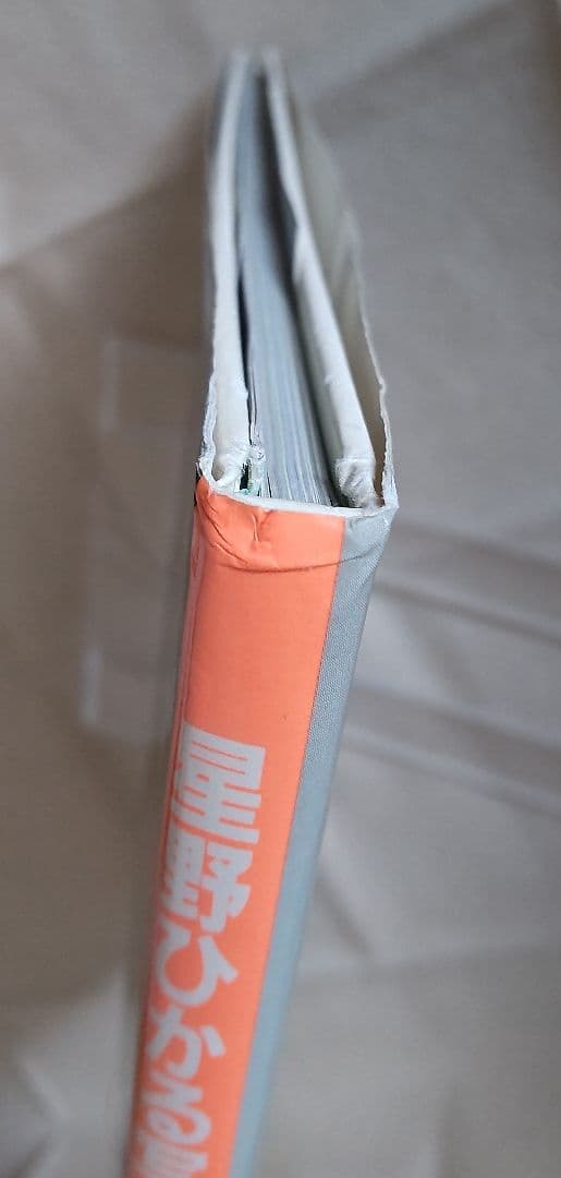 美品希少◆星野ひかる写真集『キスして抱いて』 初版 ポスター付