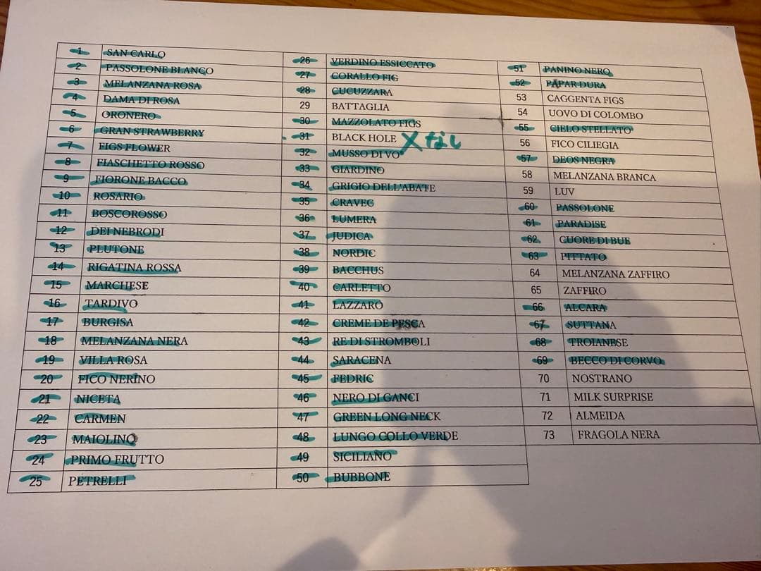 ニッキー品種60種セット！ 本日10時剪定！明日まで！イチジク 穂木 ニッキー品種60種セット！ 本日10時剪定！明日まで！イチジク 穂木