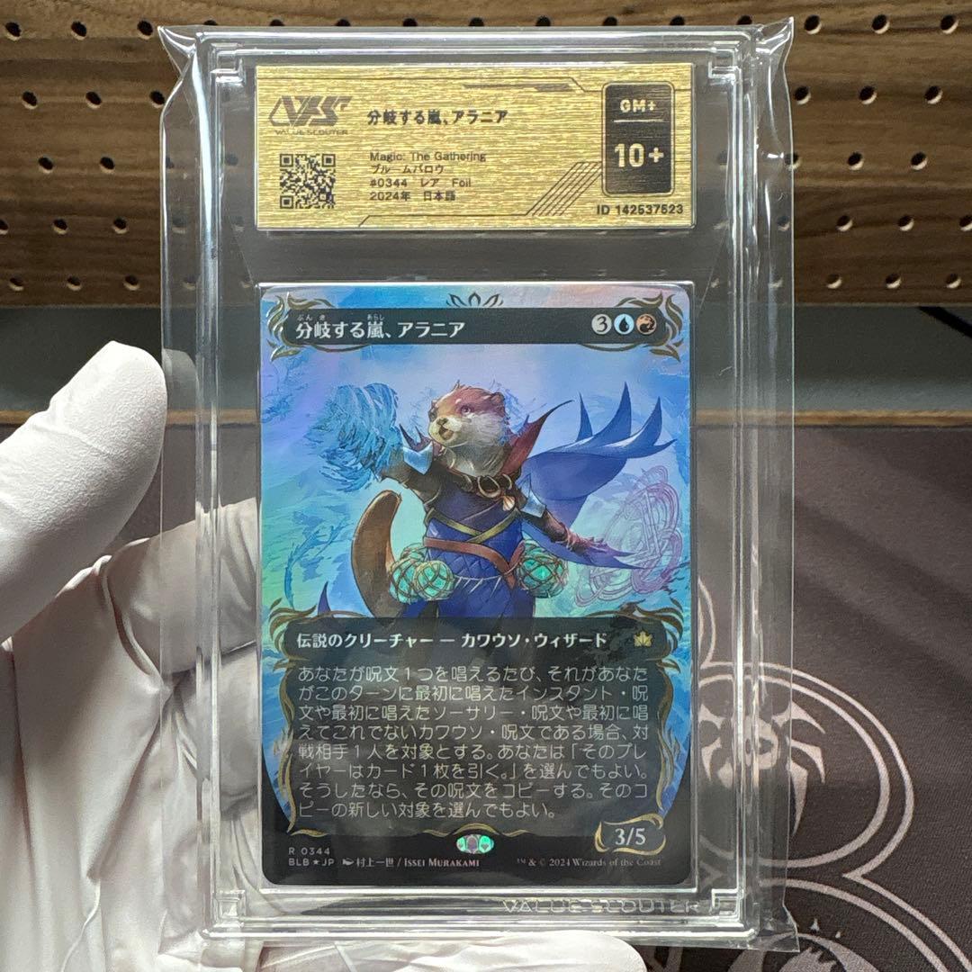 分岐する嵐、アラニア 鑑定品分岐する嵐、アラニア VSS鑑定品