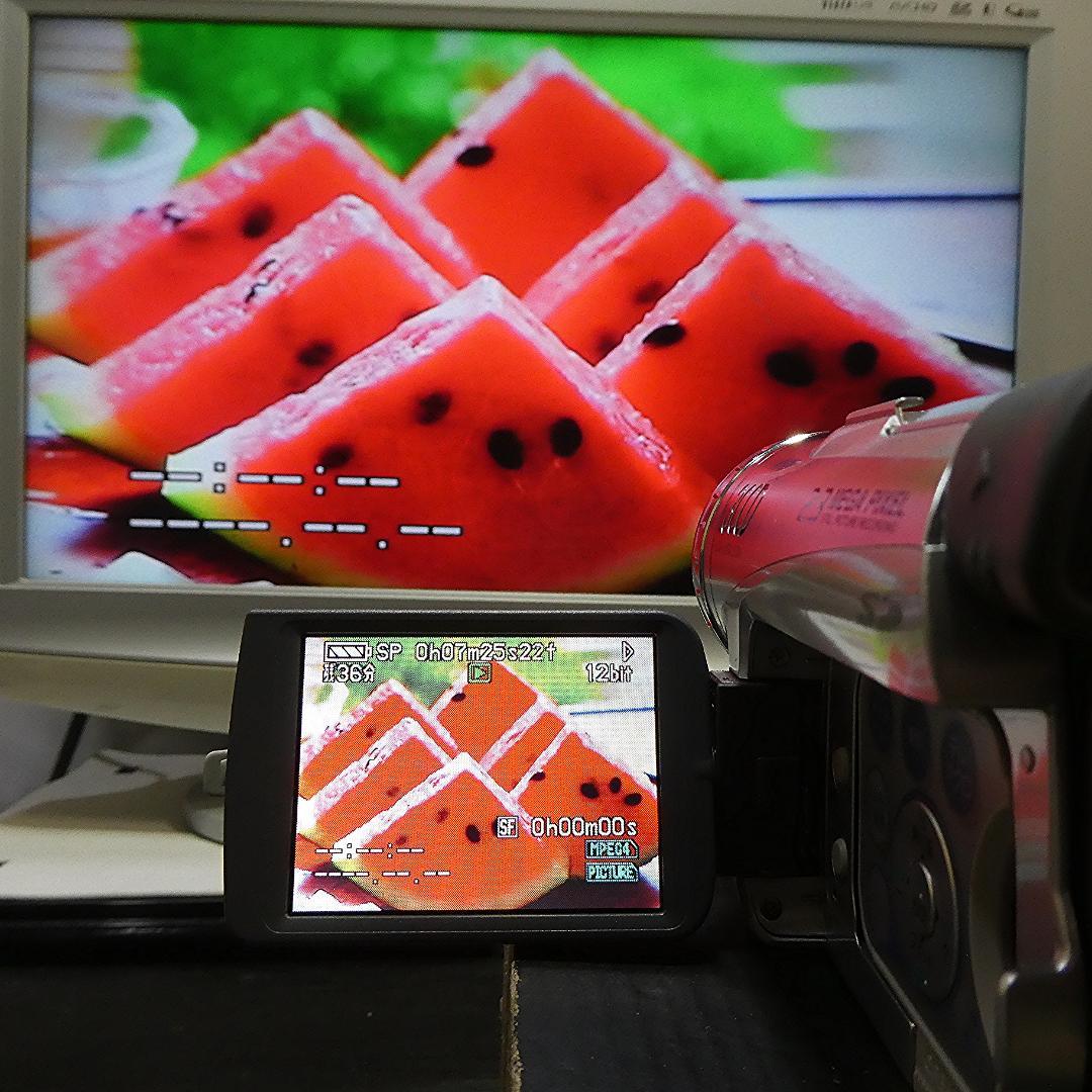 美品・動作良好 パナソニックNV-GS200 MiniDVビデオ ダビングに最適