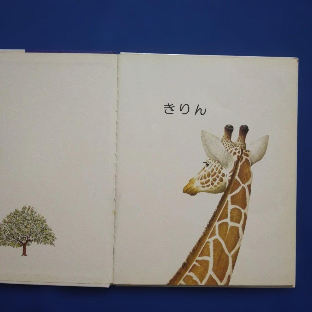 ビッグサイエンス キンダーブックしぜん かんきょうかがくえほん