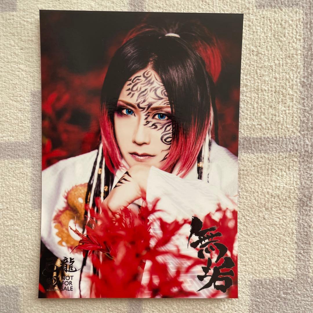 己龍 無垢 アー写 - メルカリ