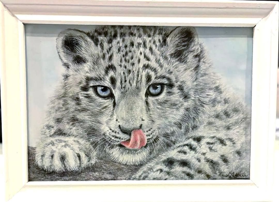 色鉛筆画 ユキヒョウ 原画 - メルカリ