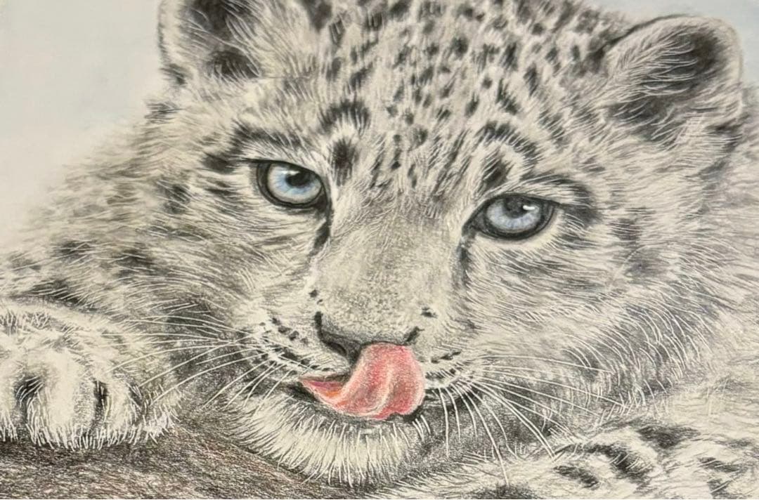 色鉛筆画 ユキヒョウ 原画 - メルカリ