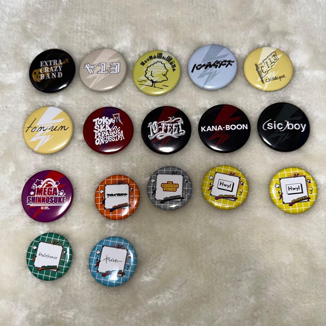 レディクレ缶バッジ - メルカリ