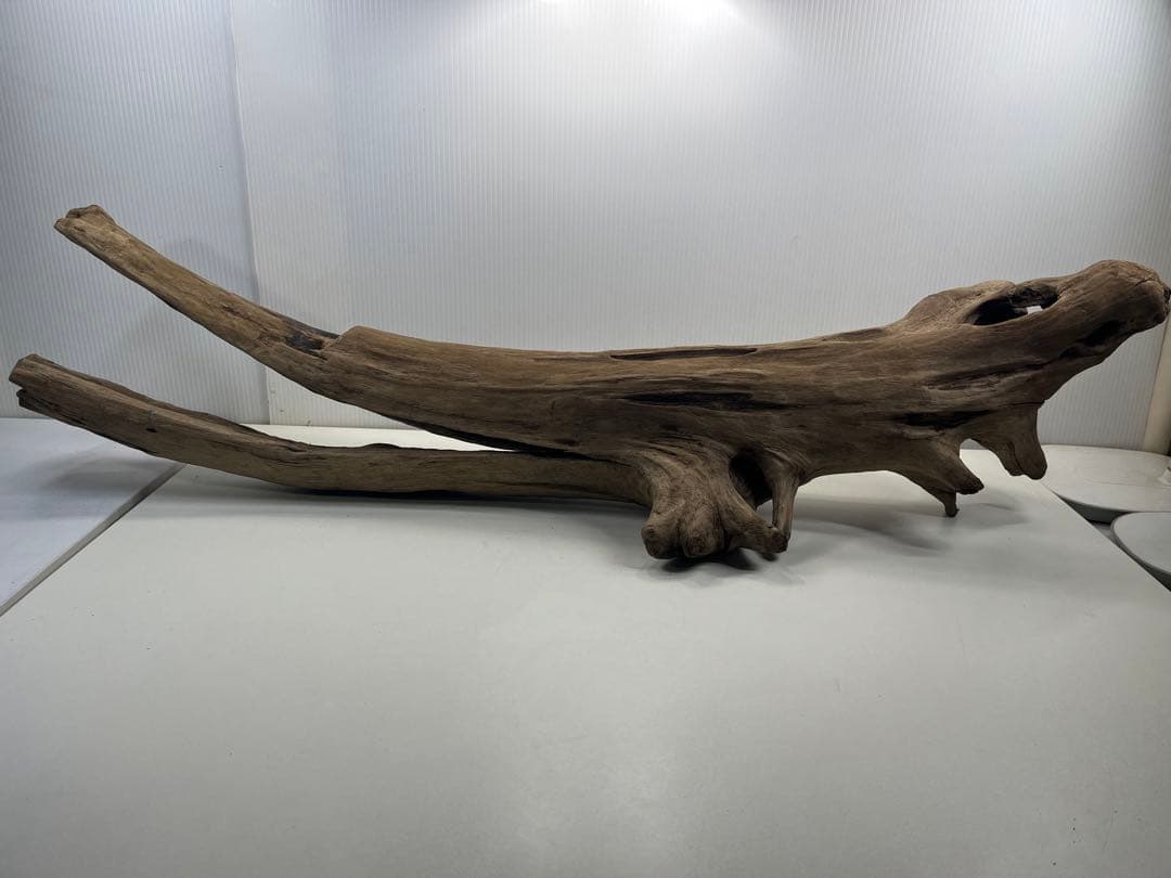 W27特大流木 アク抜き済み流木 爬虫類シェルター 登り木 インテリア