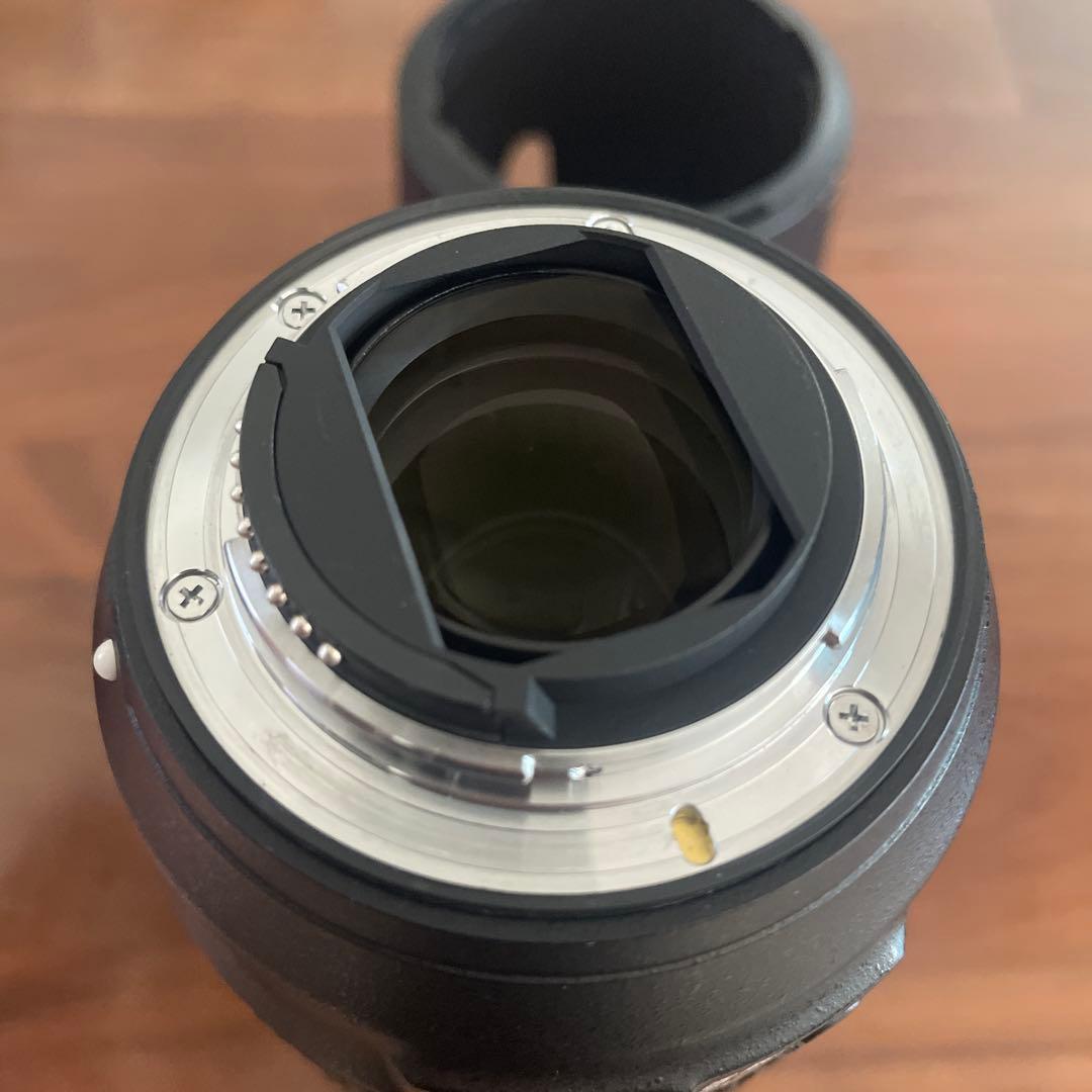 最終AF-P NIKKOR 70-300mm f/4.5-5.6E ED VR