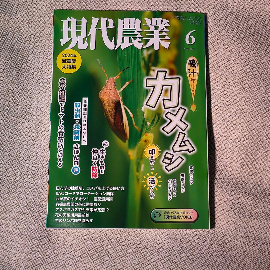現代農業 2024年6月号 - メルカリ