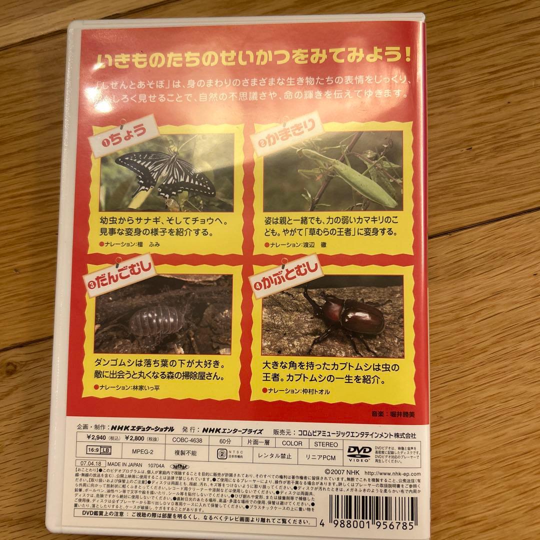しぜんとあそぼ 虫 ちいさなともだち DVD - メルカリ
