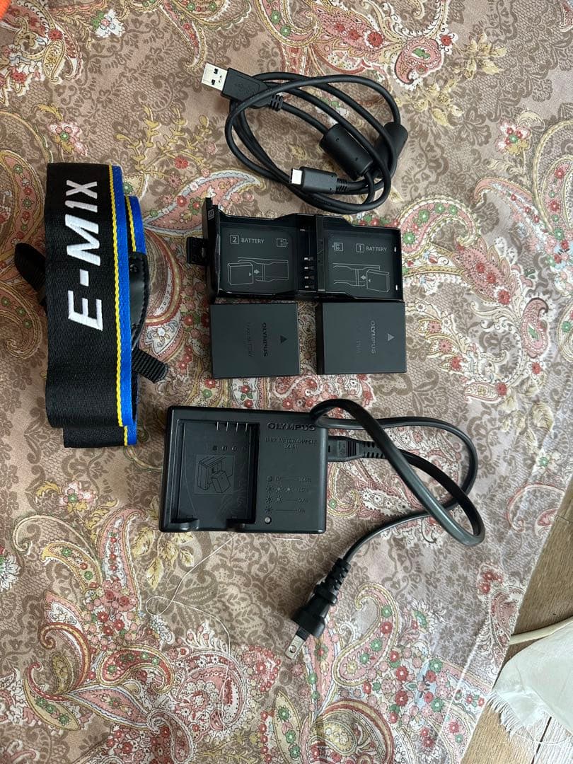 Olympus om-d e-m1x シャッター6350回 - メルカリ