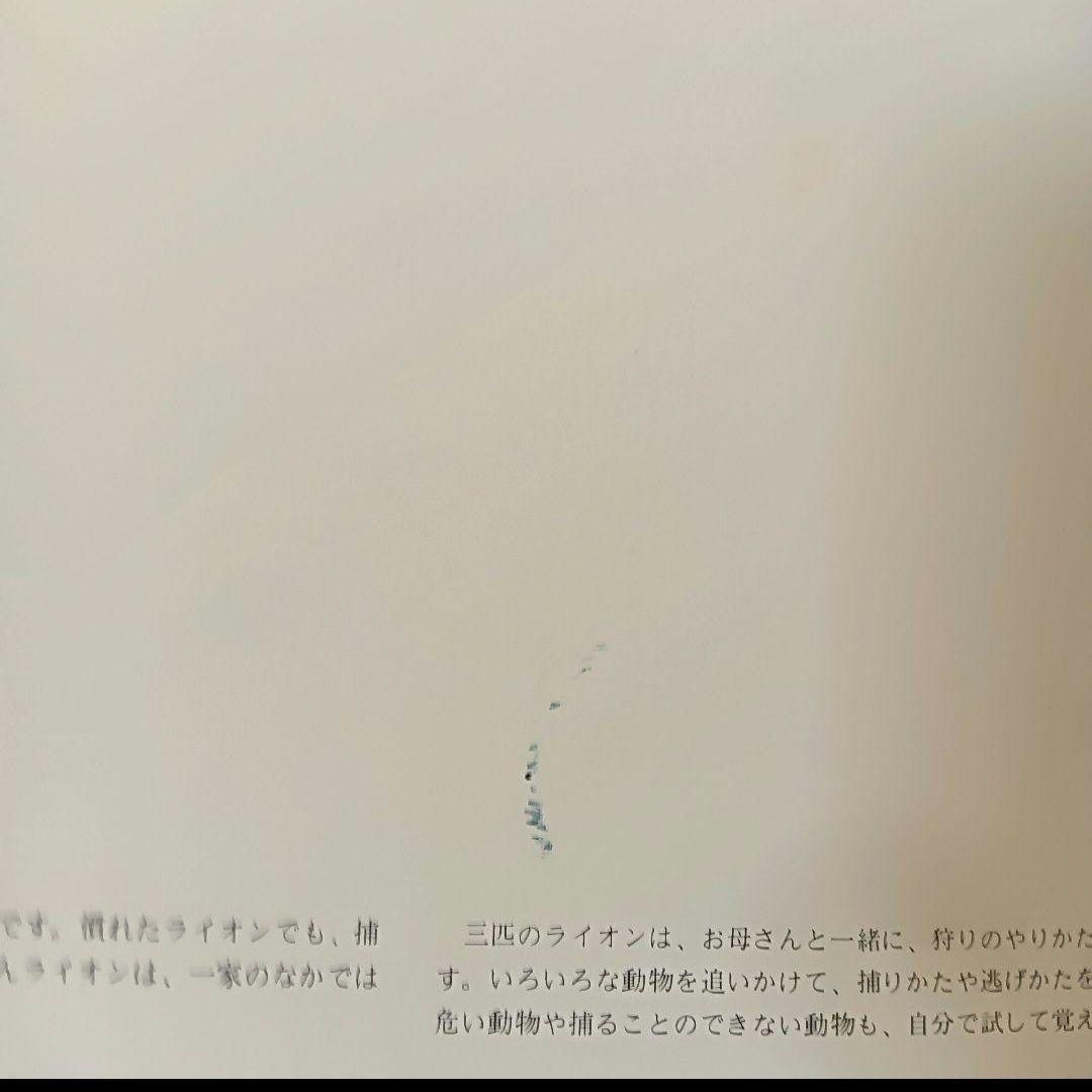 【希少】【絶版】吉田遠志　動物絵本シリーズ《アフリカ》14冊セット